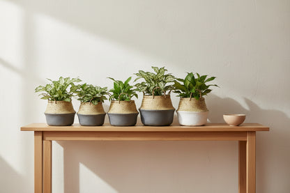 Artisan Seagrass Storage Baskets